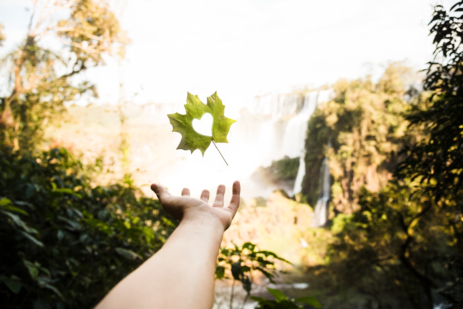 Curso e Iniciação de Reiki - II Grau